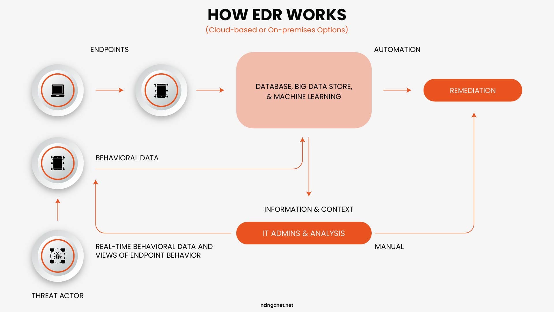 A technical diagram explaining the EDR workflow: from data collection on endpoints to machine learning analysis and automated remediation.